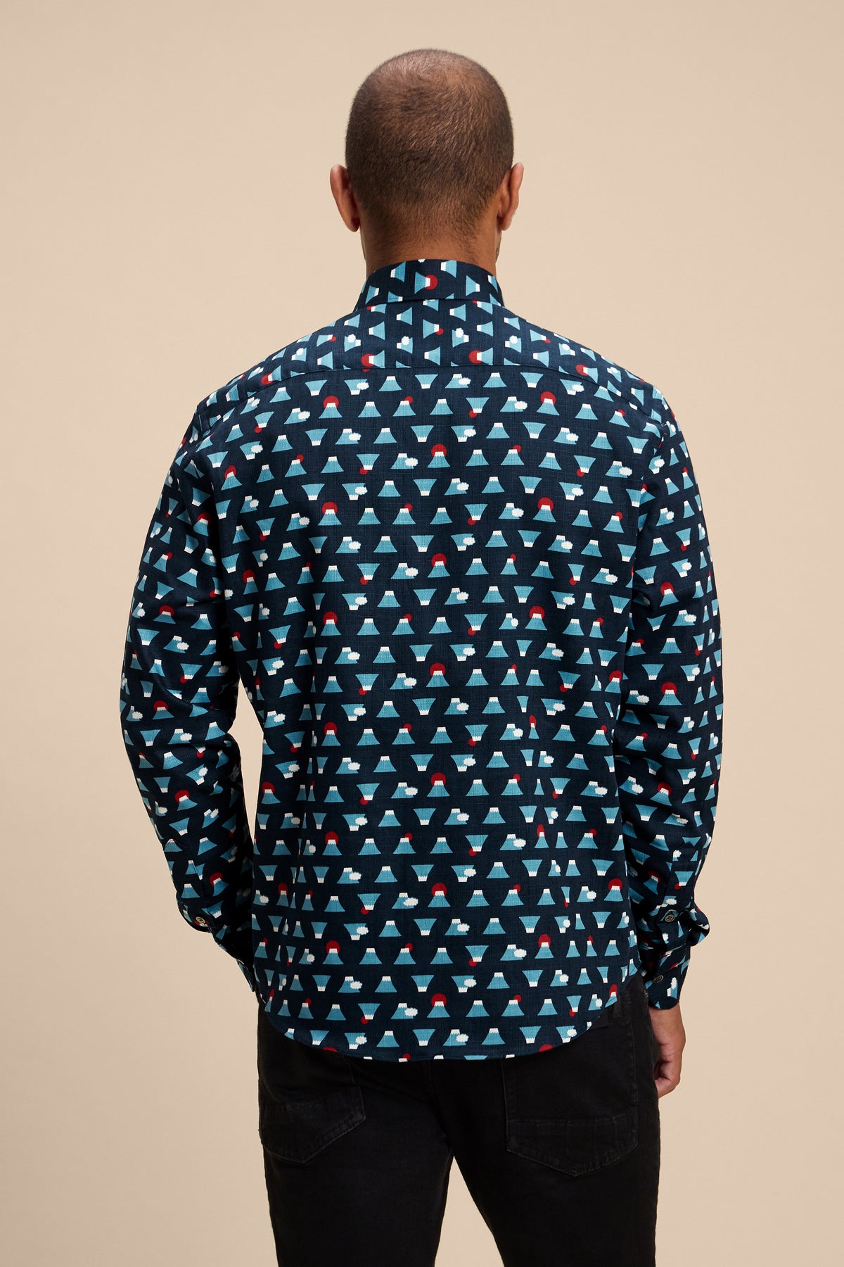 Dreams of Fuji shirt, back on model